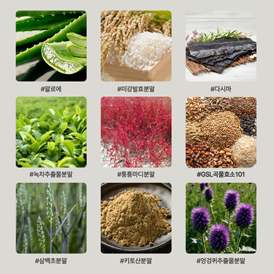 JangPass 제품 이미지